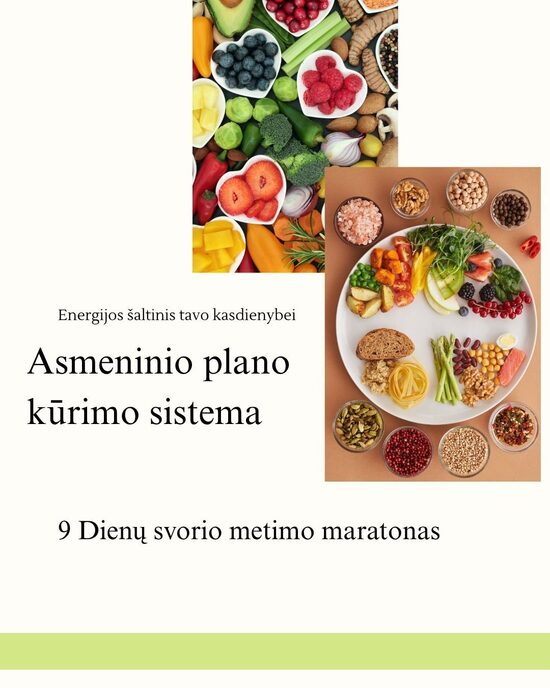 Asmeninio plano kūrimo sistema. 9 dienų svorio metimo maratonas 